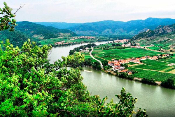 Wachau-6